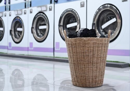 laundry systems of the carolinas
