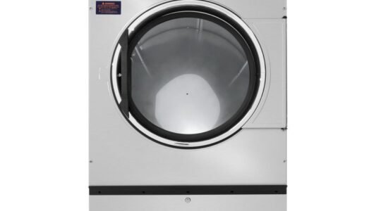 dexter t-30 30 lb dryer