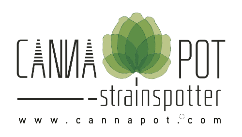 cannapot